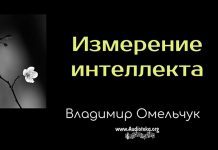 Измерение интеллекта – Владимир Марцинковский Измерение интеллекта - Владимир Марцинковский