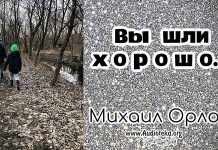 Вы шли хорошо – Михаил Орлов Вы шли хорошо - Михаил Орлов