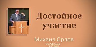 Достойное участие – Михаил Орлов Достойное участие - Михаил Орлов