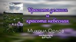 Красота земная и красота небесная – Михаил Орлов Красота земная и красота небесная - Михаил Орлов