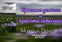 Красота земная и красота небесная – Михаил Орлов Красота земная и красота небесная - Михаил Орлов