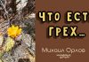 Что есть грех – Михаил Орлов Что есть грех - Михаил Орлов
