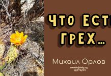 Что есть грех – Михаил Орлов Что есть грех - Михаил Орлов