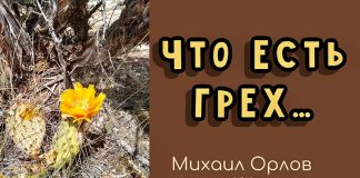 Что есть грех – Михаил Орлов Что есть грех - Михаил Орлов