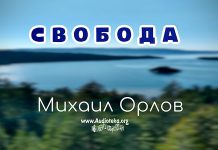 Свобода – Михаил Орлов Свобода - Михаил Орлов
