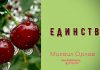 Единство – Михаил Орлов Единство - Михаил Орлов
