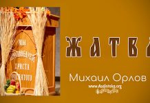 Жертва – Михаил Орлов Жертва - Михаил Орлов