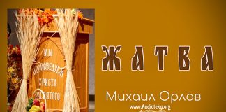 Жертва – Михаил Орлов Жертва - Михаил Орлов