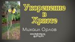 Укоренение в Христе – Михаил Орлов Укоренение в Христе - Михаил Орлов