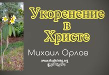 Укоренение в Христе – Михаил Орлов Укоренение в Христе - Михаил Орлов