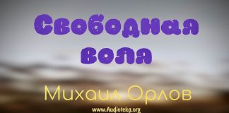Свободная воля – Михаил Орлов Свободная воля - Михаил Орлов