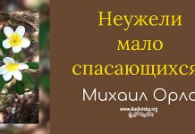 Неужели мало спасающихся – Михаил Орлов Неужели мало спасающихся - Михаил Орлов