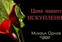 Цена нашего искупления – Михаил Орлов Цена нашего искупления - Михаил Орлов