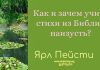 Как и зачем учить стихи из Библии наизусть – Ярл Пейсти Как и зачем учить стихи из Библии наизусть – Ярл Пейсти