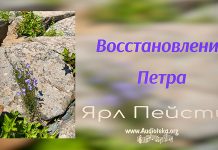 Восстановление Петра – Ярл Пейсти Восстановление Петра - Ярл Пейсти