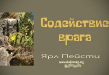 Содействие врага – Ярл Пейсти Содействие врага - Ярл Пейсти