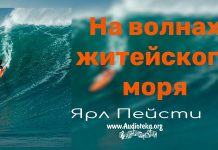 На волнах житейского моря – Ярл Пейсти На волнах житейского моря - Ярл Пейсти