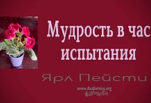Мудрость в час испытания – Ярл Пейсти Мудрость в час испытания - Ярл Пейсти