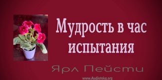 Мудрость в час испытания – Ярл Пейсти Мудрость в час испытания - Ярл Пейсти