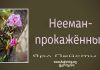 Нееман – Ярл Пейсти Нееман - Ярл Пейсти
