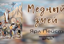 Медный змей – Ярл Пейсти Медный змей - Ярл Пейсти