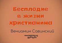 Бесплодие в жизни христианина – Вениамин Савинский Бесплодие в жизни христианина - Вениамин Савинский