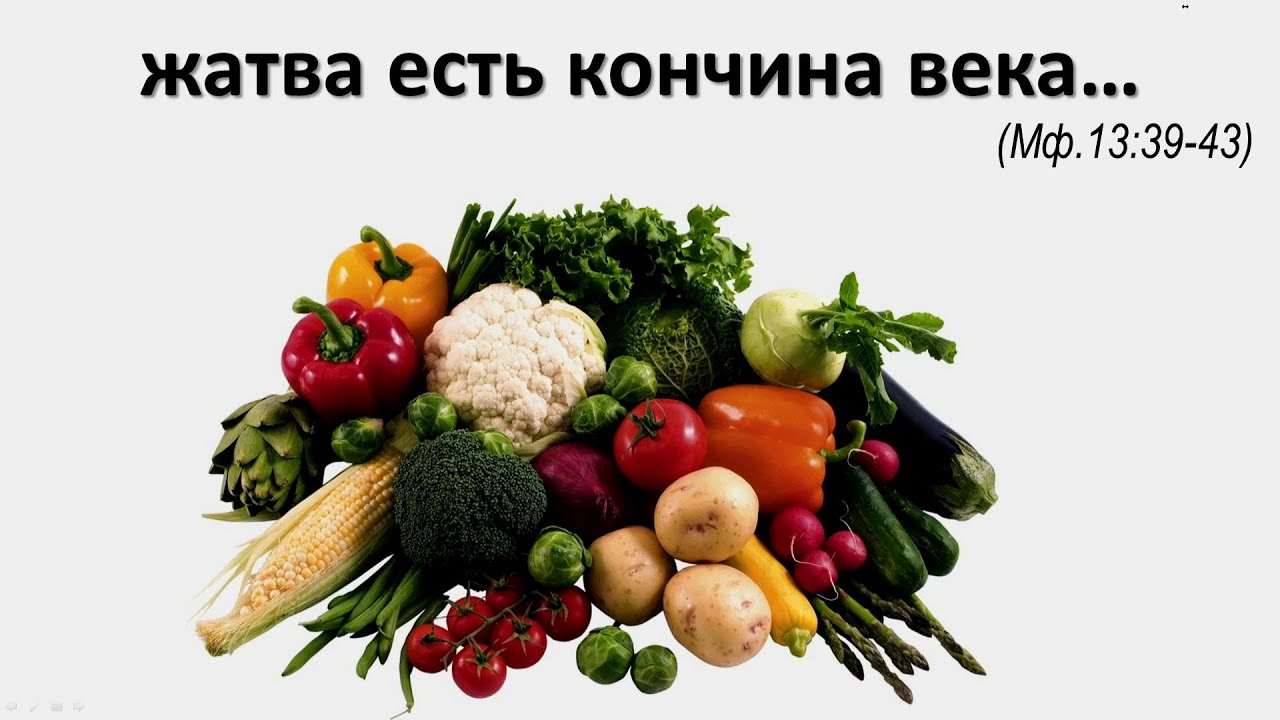 Обложка: «Жатва есть кончина века» — Проповедь Игорь В. Требушной
