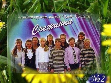 Обложка: Снежинка – Лучи рассвета